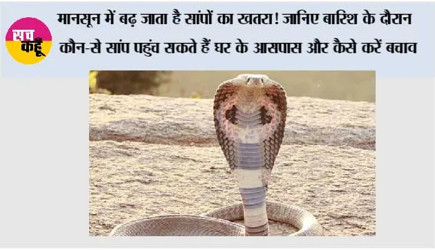 Snake Monsoon safety: मानसून में बढ़ जाता है सांपों का खतरा! जानिए बारिश के दौरान कौन-से सांप पहुंच सकते हैं घर के आसपास और कैसे करें बचाव
