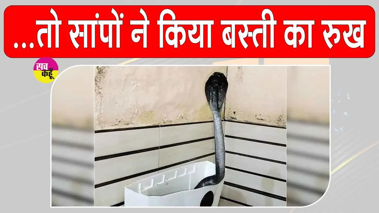 Snake News: कंकरीट साम्राज्य में सांपों को आसरा नहीं मिला तो किया बस्ती का रुख