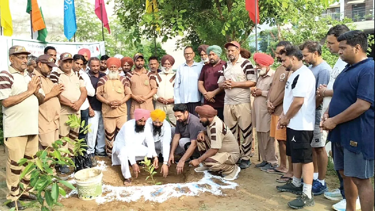 Tree Plantation:पावन अवतार दिवस की खुशी में पंजाब के विभिन्न ब्लॉकों की साध-संगत ने किया पौधारोपण, मनाई खुशियां