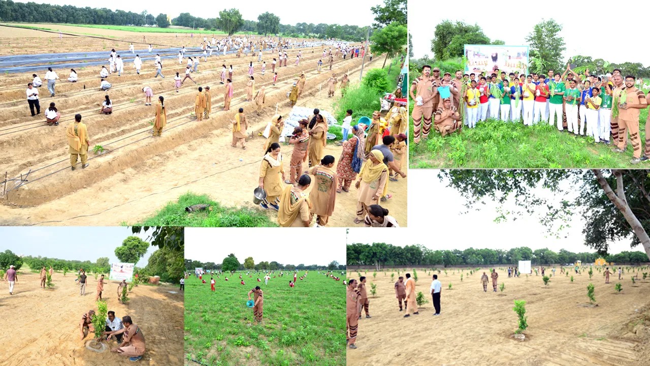 Tree Planting Campaign: पूज्य गुरु संत डॉ. एमएसजी के अवतार दिवस पर धरती को हरियाली का तोहफा
