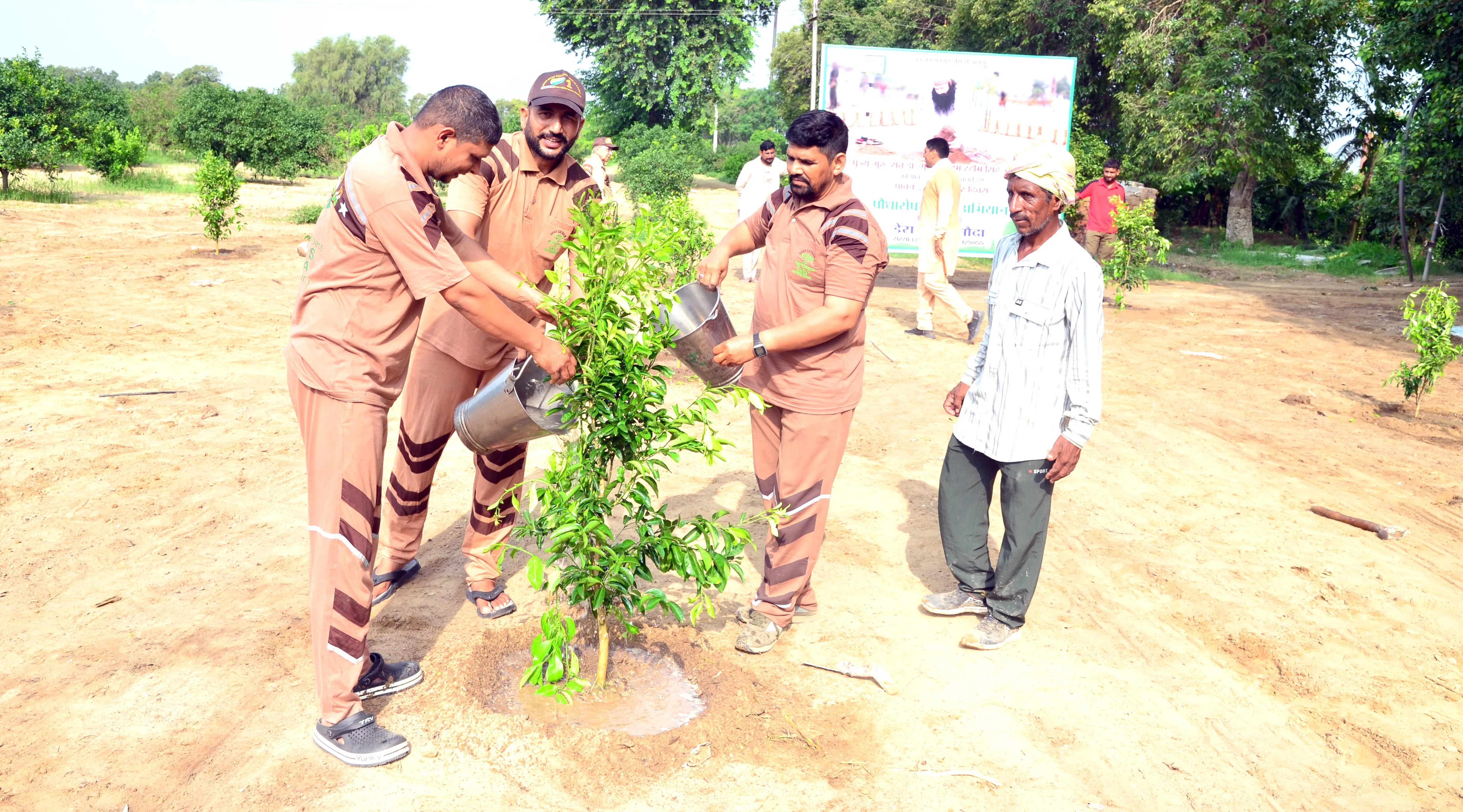 Tree Planting Campaign (1)