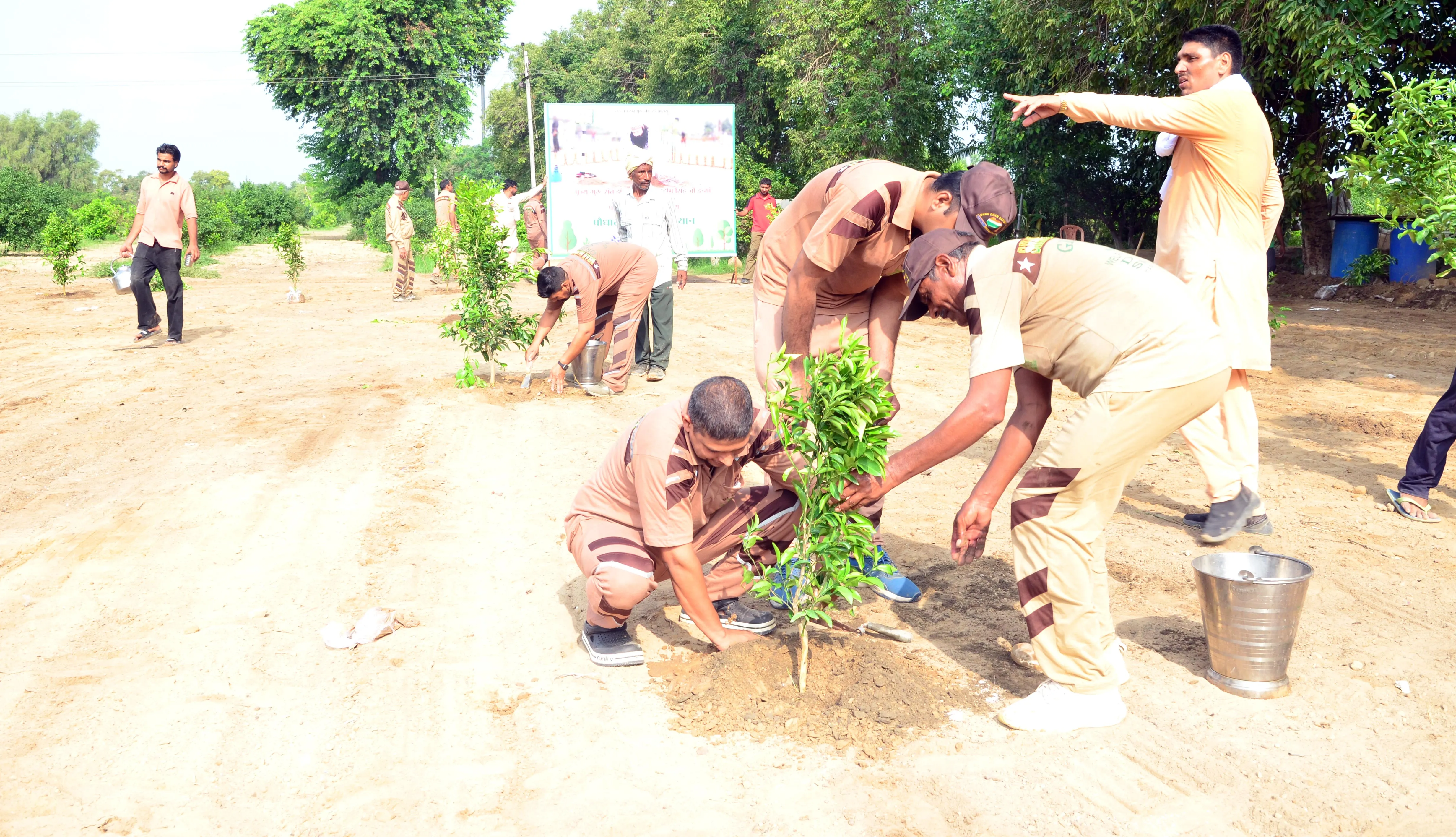 Tree Planting Campaign (2)