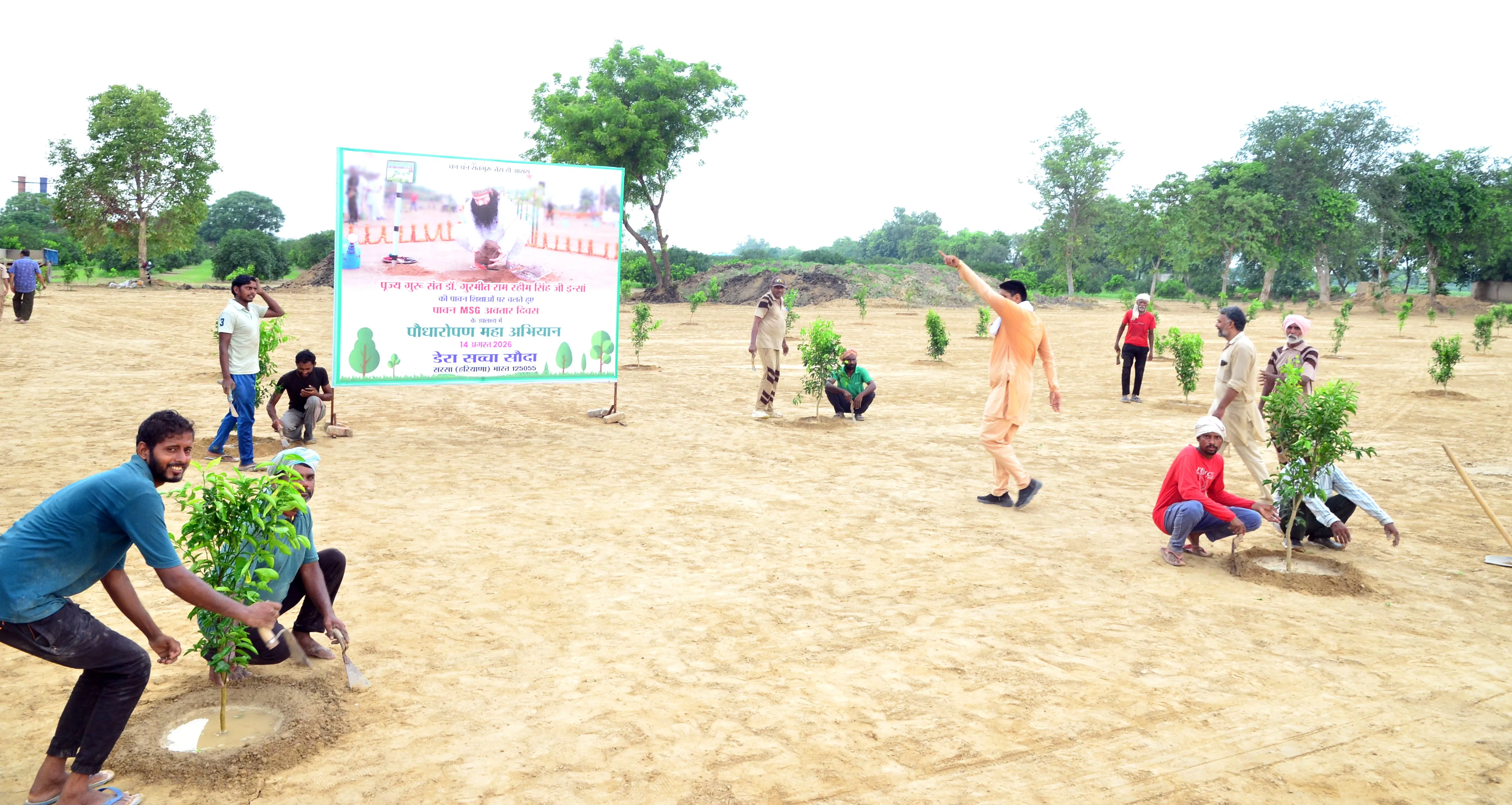 Tree Planting Campaign (5)