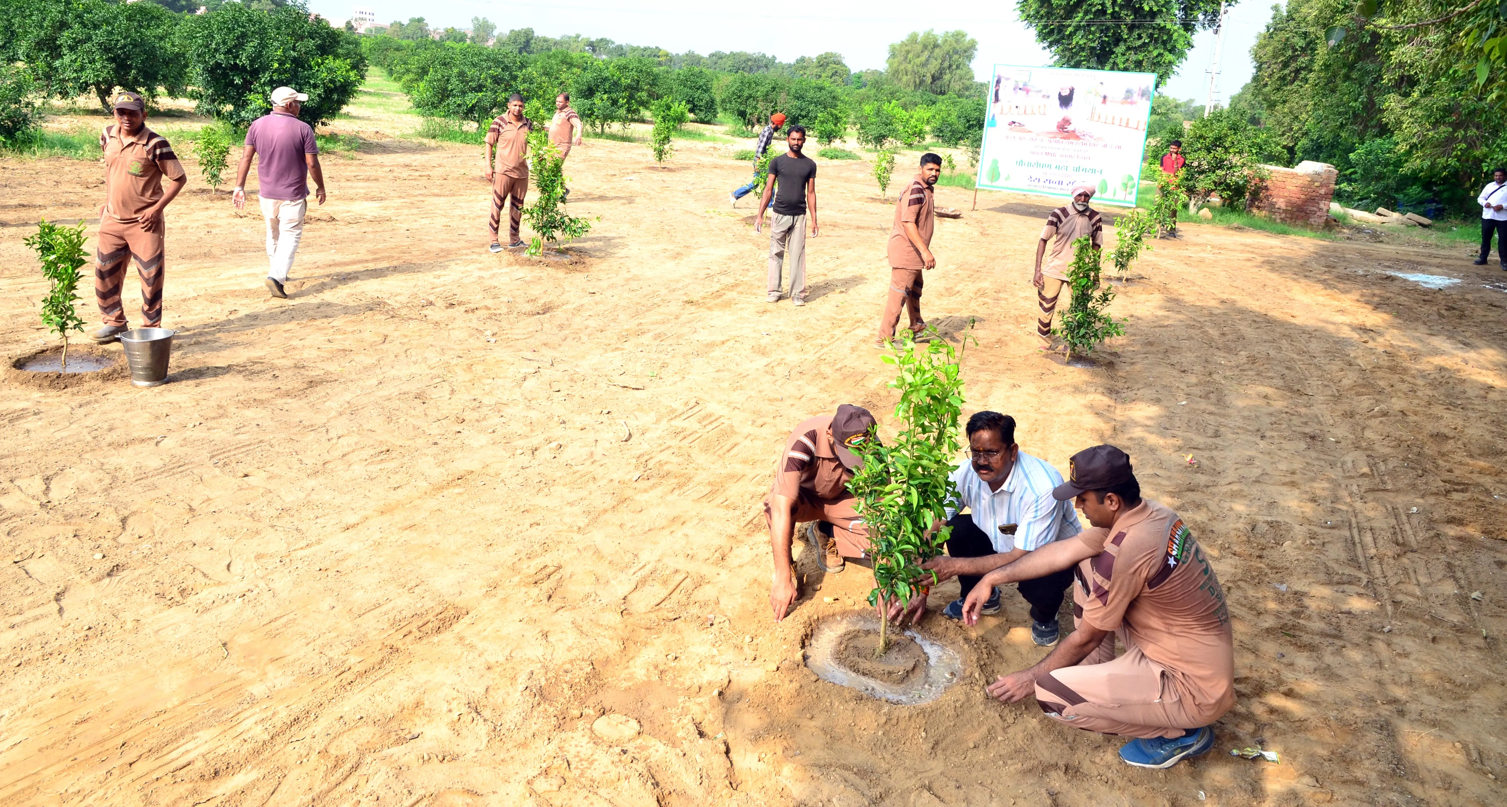 Tree Planting Campaign (6)