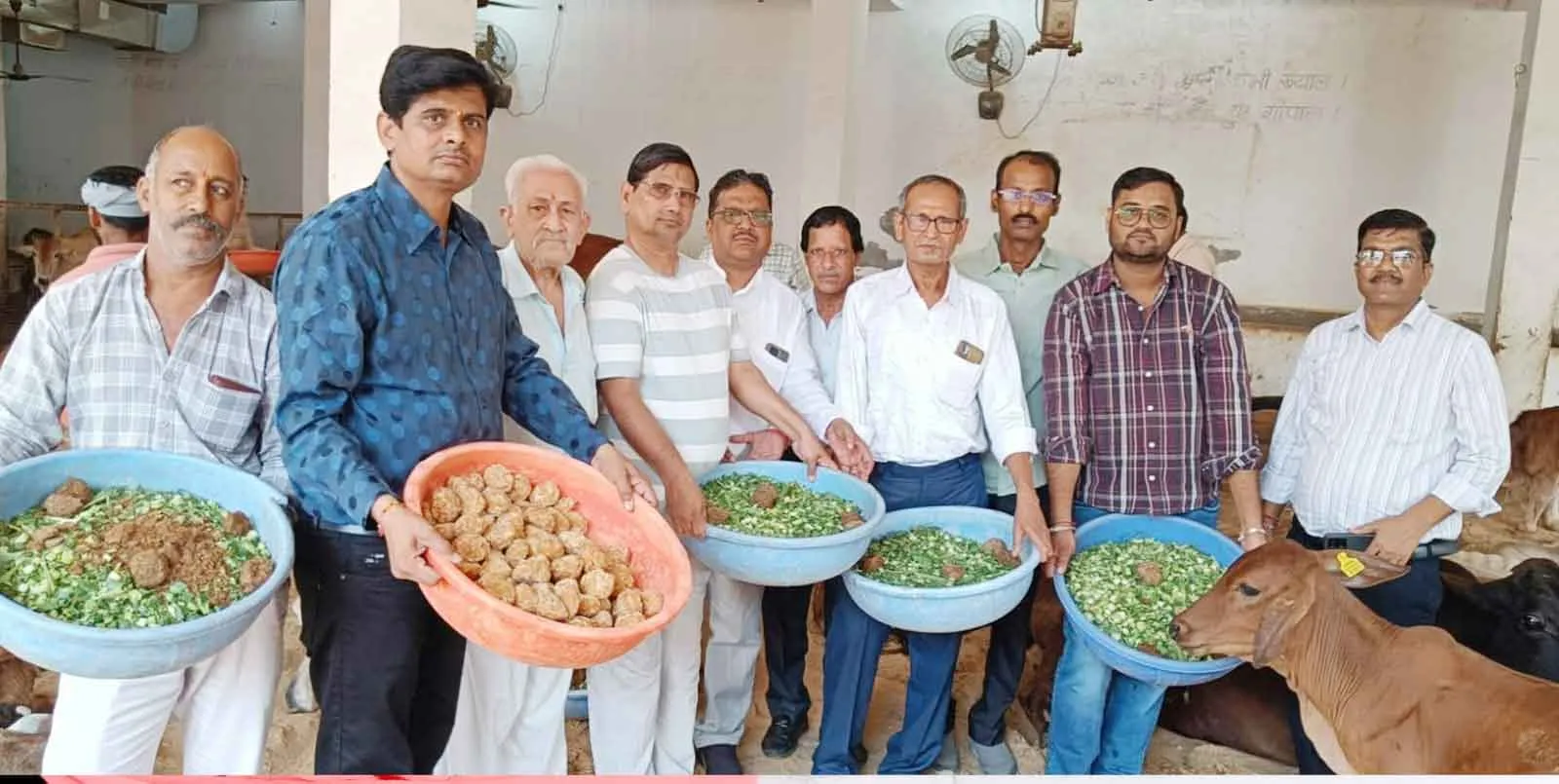 असहाय-बीमार गोवंश को खिलाया हरा चारा-गुड़ 
