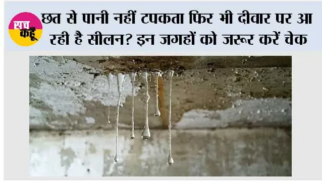 Damp wall solution: छत से पानी नहीं टपकता फिर भी दीवार पर आ रही है सीलन? इन जगहों को जरूर करें चेक