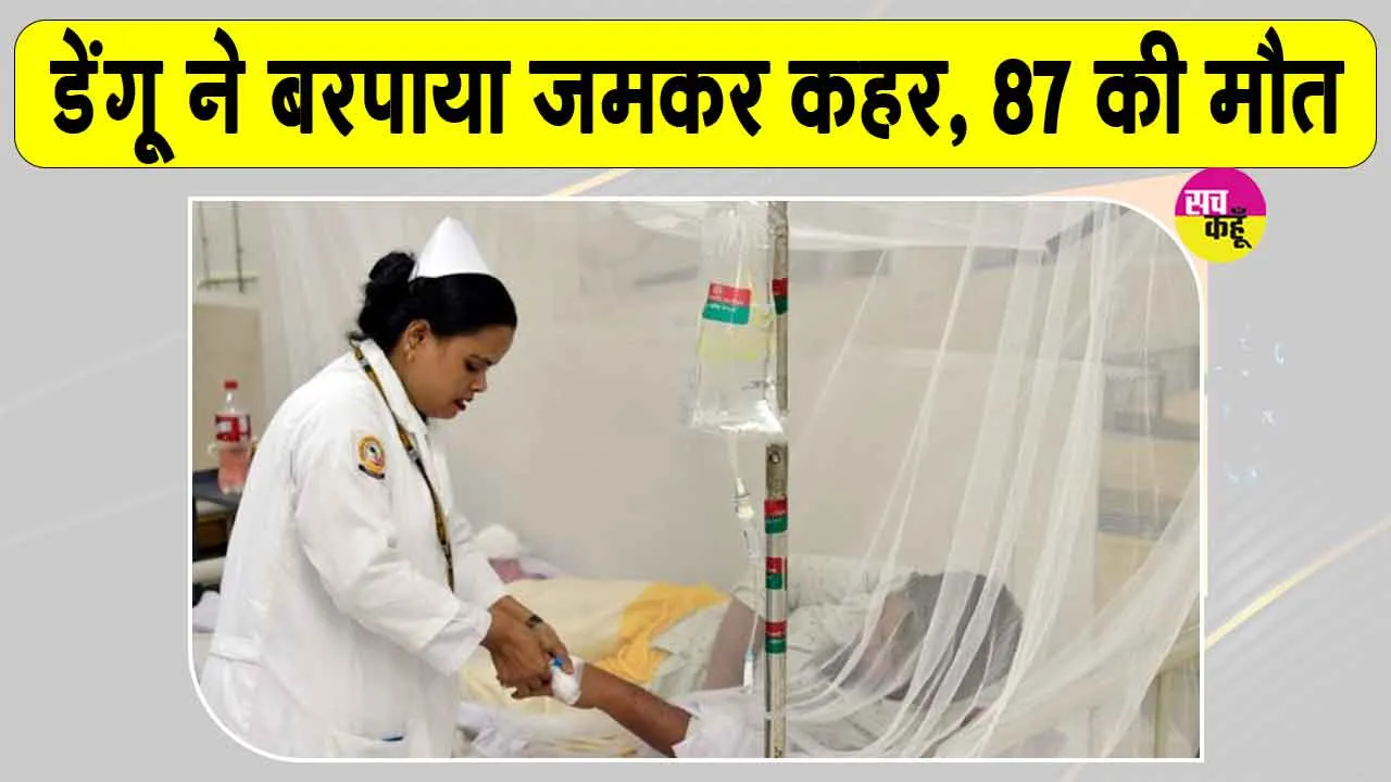 डेंगू के कहर से अब तक 87 मौतें! 61 हजार से ज्यादा मामले; हड़कंप