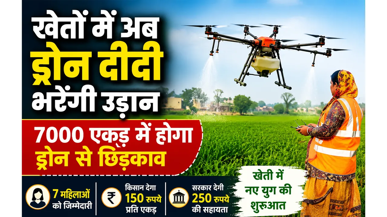 Drone Didi Yojana: फतेहाबाद में अब ‘ड्रोन दीदी’ करेंगी खेतों में छिड़काव, 7000 एकड़ का लक्ष्य