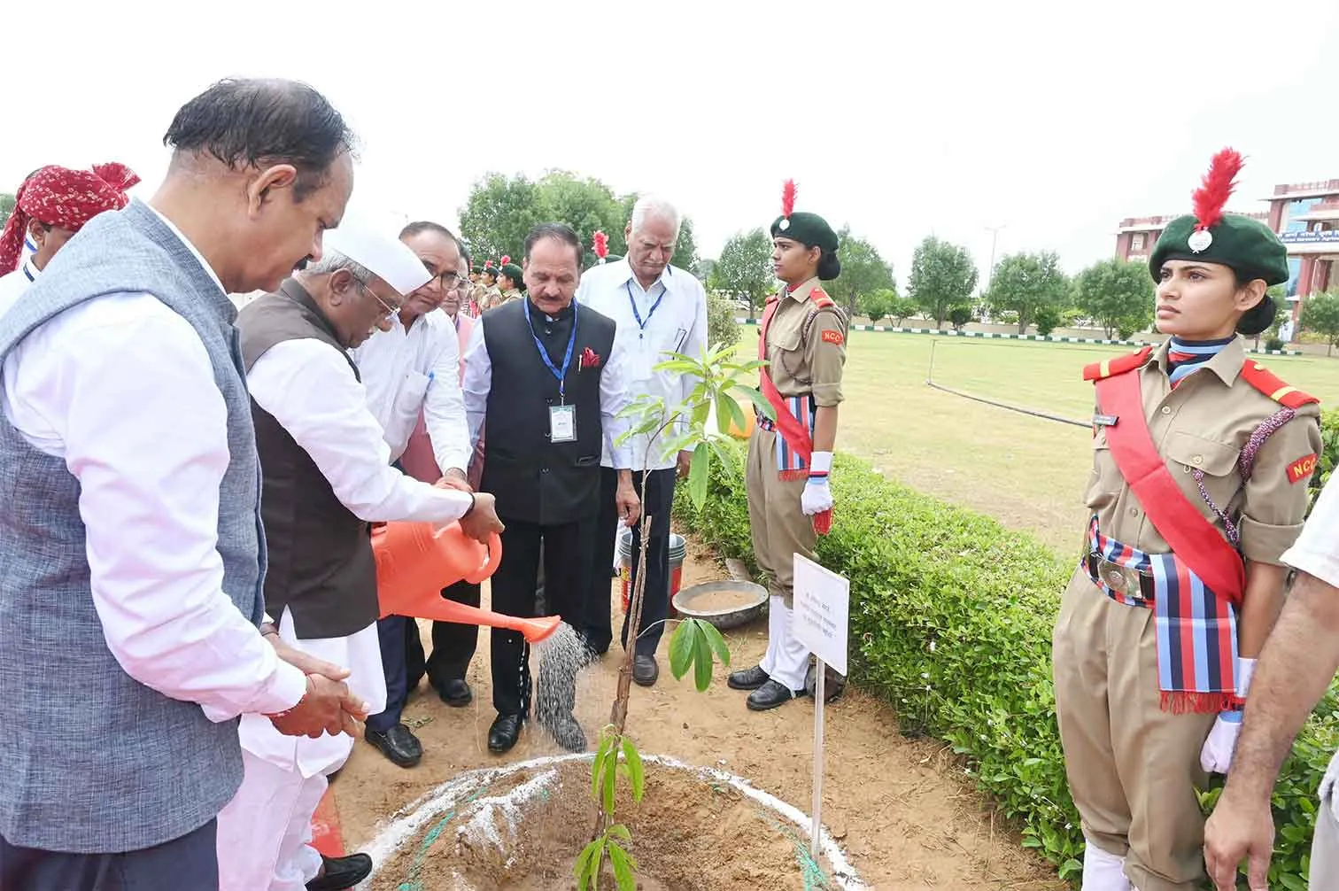 Hegre-Tree-Plantation