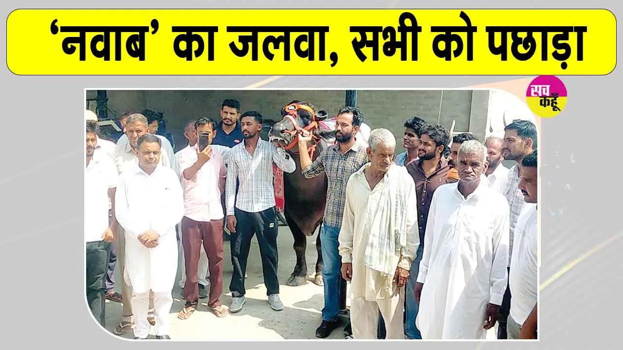 झोटे ‘नवाब’ छाए, पहले स्थान पर आए, गांव वालों ने किया जोरदार स्वागत