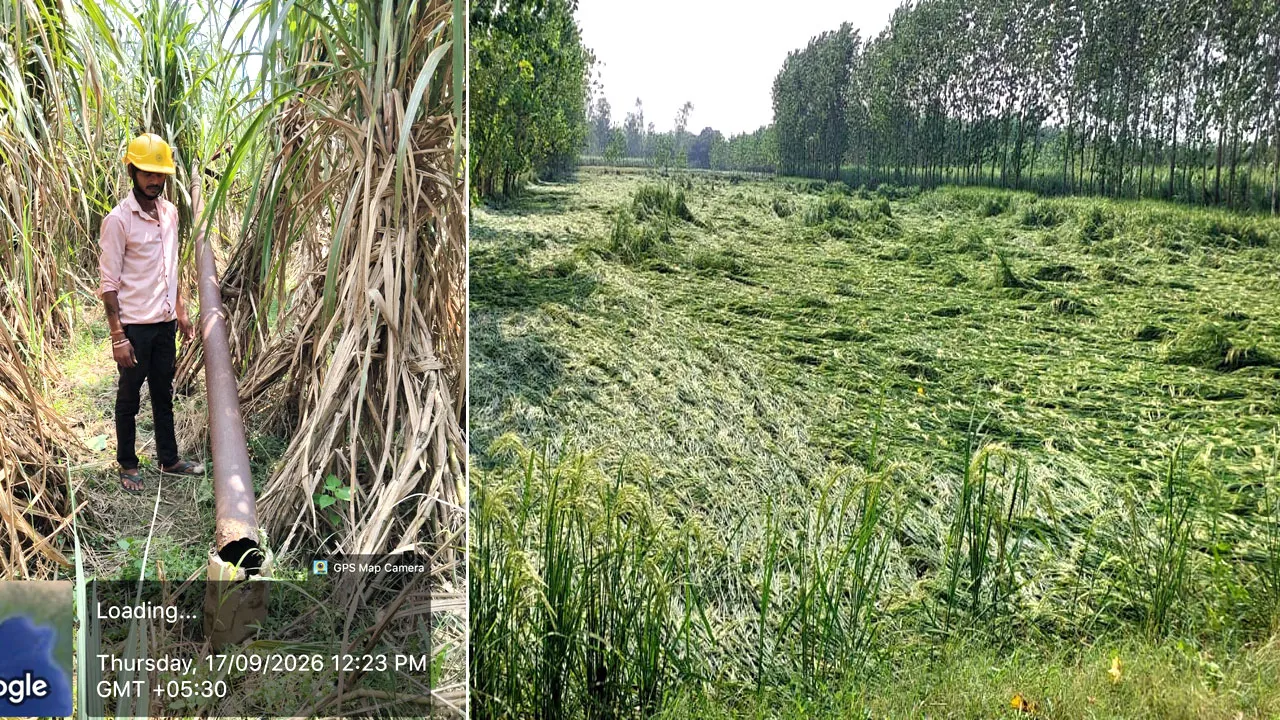आधे घंटे के तूफान ने मचाई तबाही, खेतों में फसलें बिछीं, विद्युत पोल टूटे, आपूर्ति ठप