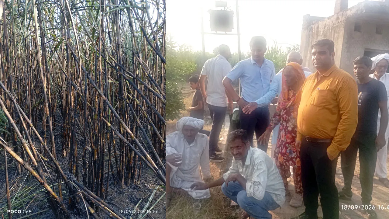 विद्युत लाइन में स्पार्किंग से गन्ने के खेत में लगी आग, 25 बीघा फसल जलकर राख