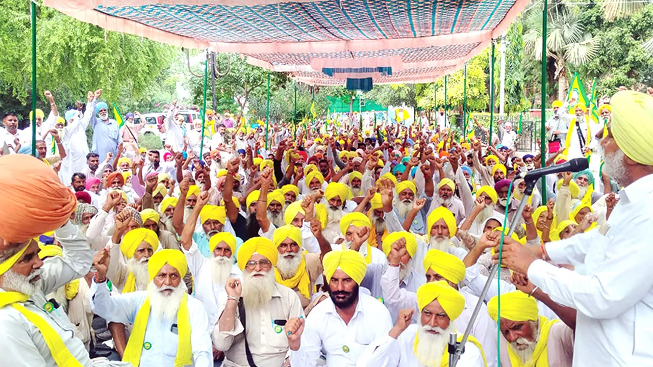 Punjab Farmers News