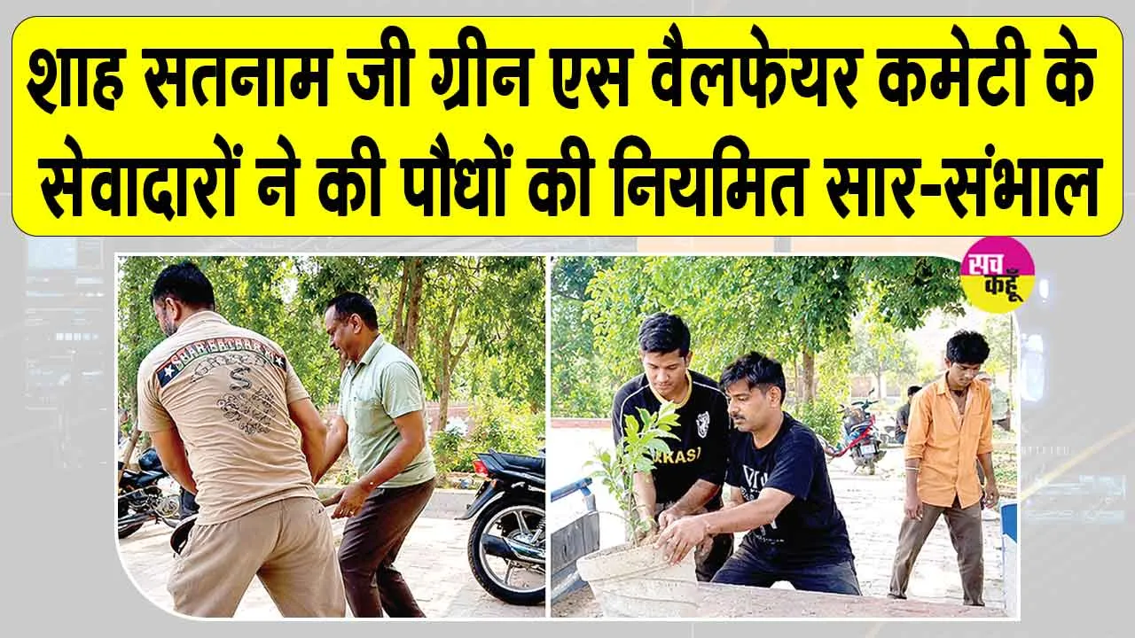 Tree Care: शाह सतनाम जी ग्रीन एस वैलफेयर कमेटी के सेवादारों ने की पौधों की नियमित सार-संभाल