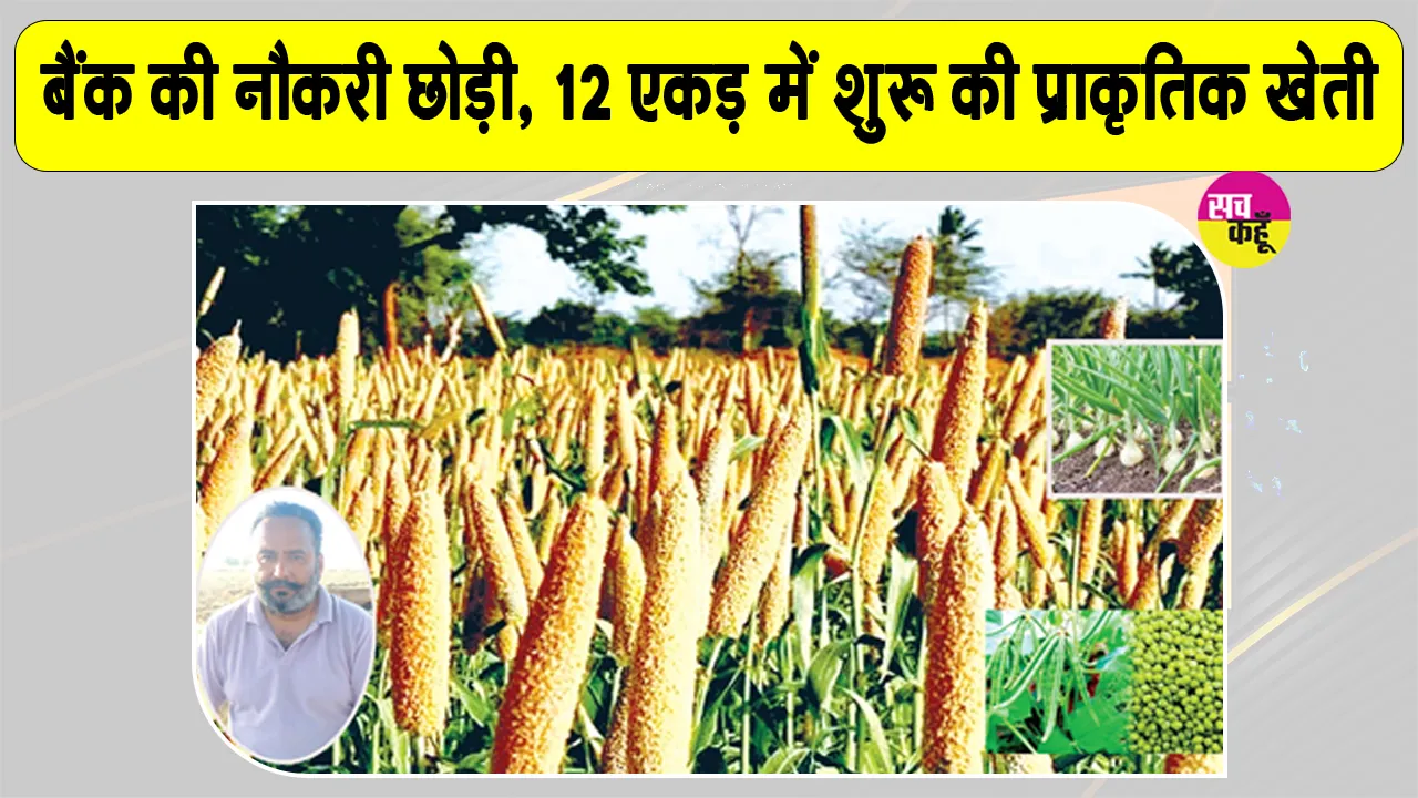 Organic Farming: बैंक की नौकरी छोड़ी, मिट्टी से जोड़ा नाता, 12 एकड़ में कर रहे प्राकृतिक खेती