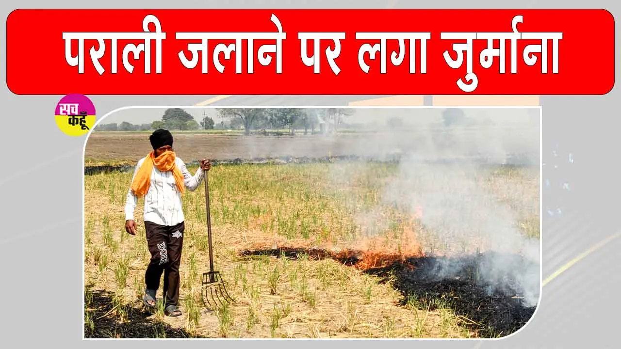 Stubble Burning: पराली जलाने की 27 घटनाएं आईं सामने, 10 की पुष्टि; 35 हजार का जुर्माना