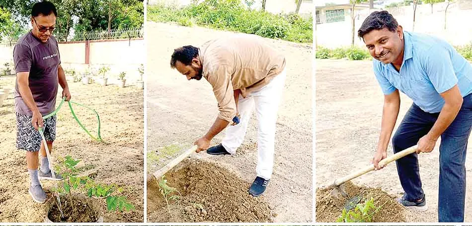 Tree-Care-Sadhul-Shahar