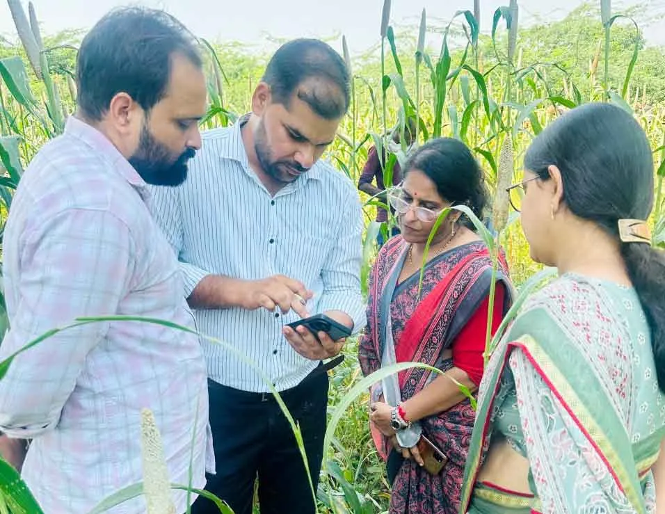 सांख्यिकी निदेशक बीना वर्मा ने किया क्रॉप कटिंग का भौतिक सत्यापन