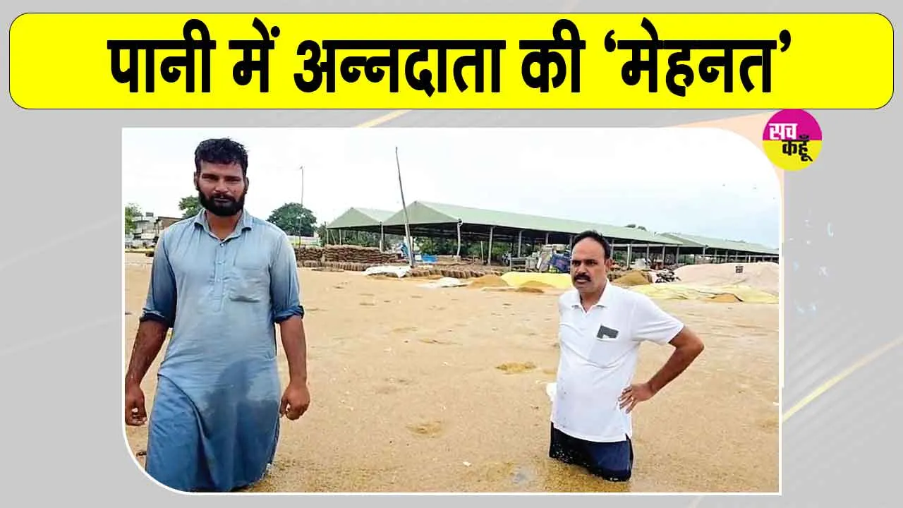 Haryana Punjab Weather News: प्राकृतिक आपदा ने पानी में मिलाई हरियाणा-पंजाब के किसानों की मेहनत
