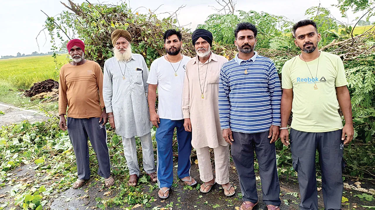 डेरा श्रद्धालुओं ने तेज बारिश से सड़क पर गिरे पेड़ों को हटाया