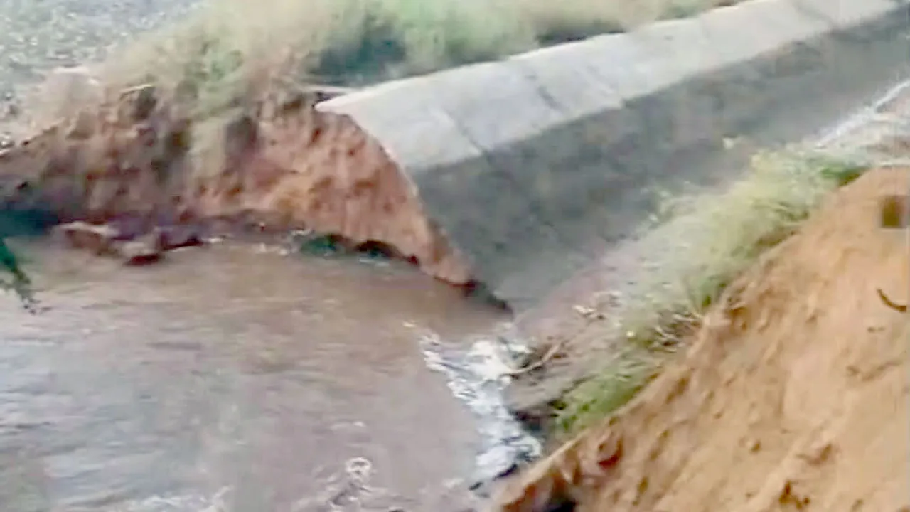 मम्मड़ खेड़ा में माइनर टूटी, 50 एकड़ में भरा पानी; नरमे और सरसों की फसल पर संकट