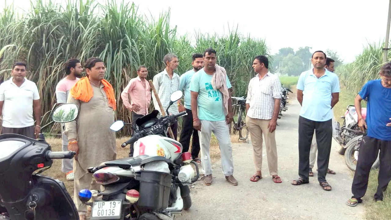 Kairana Theft News: शेखूपुरा के जंगल से दस खंभों के तार काट ले गए चोर