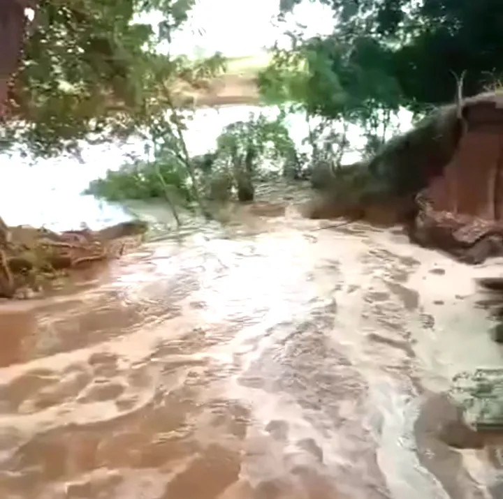 Kutiyana Minor breach: कुतियाना माइनर का कहर, सात दिन में दूसरी बार टूटी; 30 एकड़ फलल जलमगन