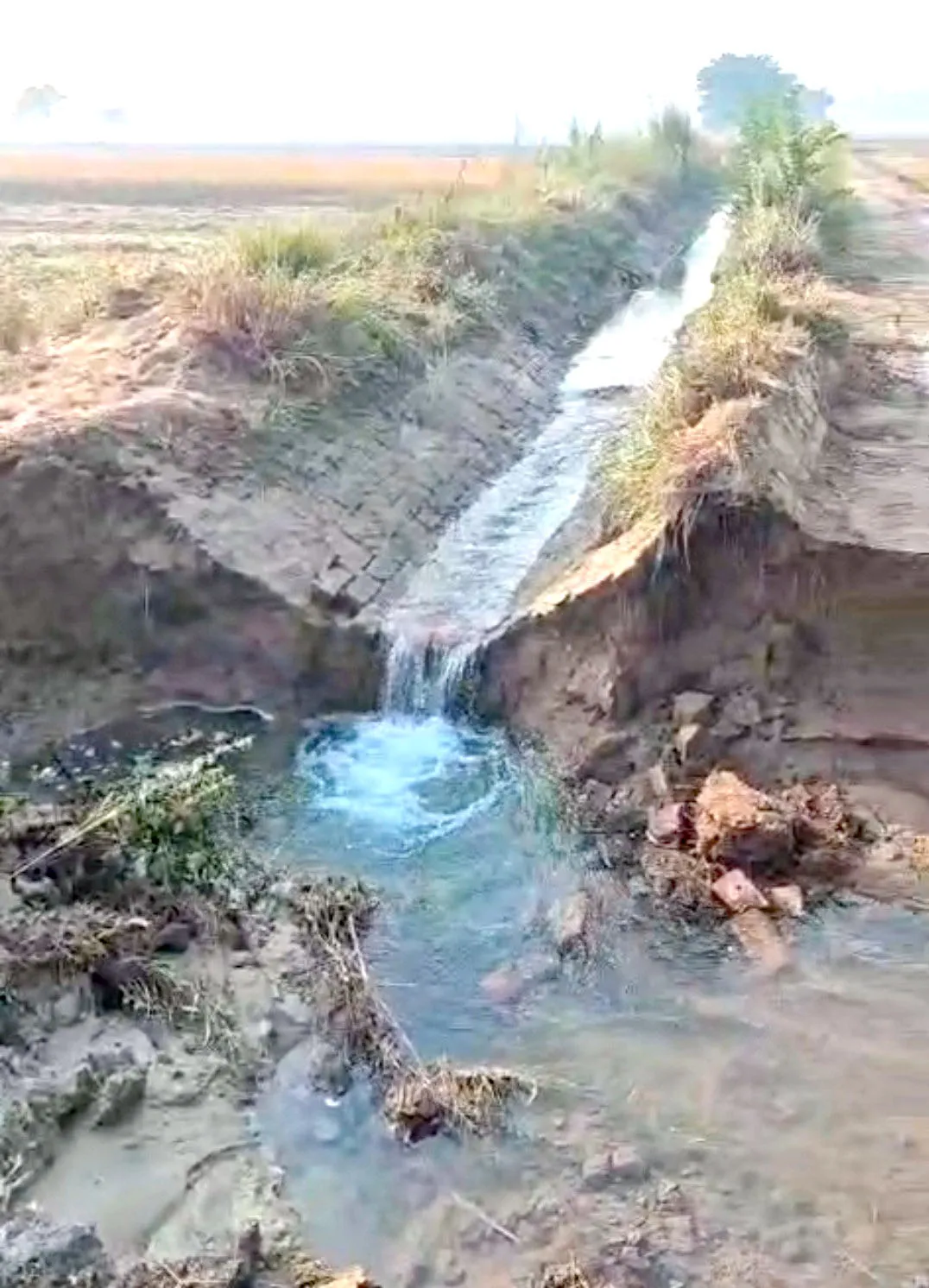 Lohgarh Link Minor News: 8 दिन में दूसरी बार टूटी लोहगढ़ लिंक माइनर, किसानों में हाहाकार