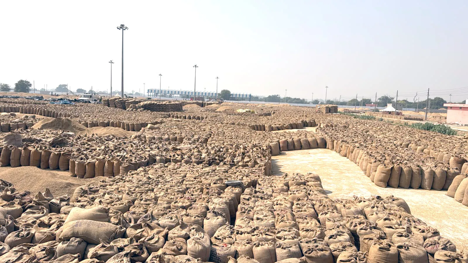 Farmer News: 4499 किसानों को नहीं मिले धान खरीद के पैसे, अभी भी 48 हजार मीट्रिक टन उठान बाकी