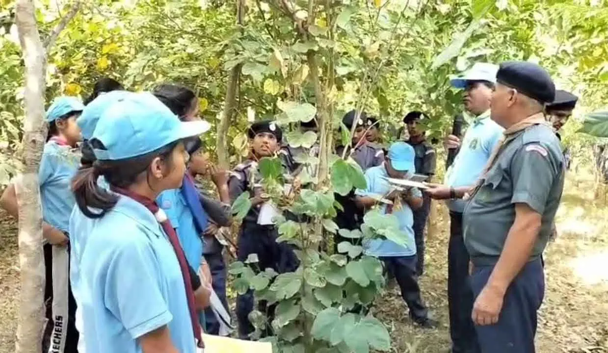 Nature Study Camp: मियावाकी जंगल में बच्चों ने जाना प्रकृति का महत्व 