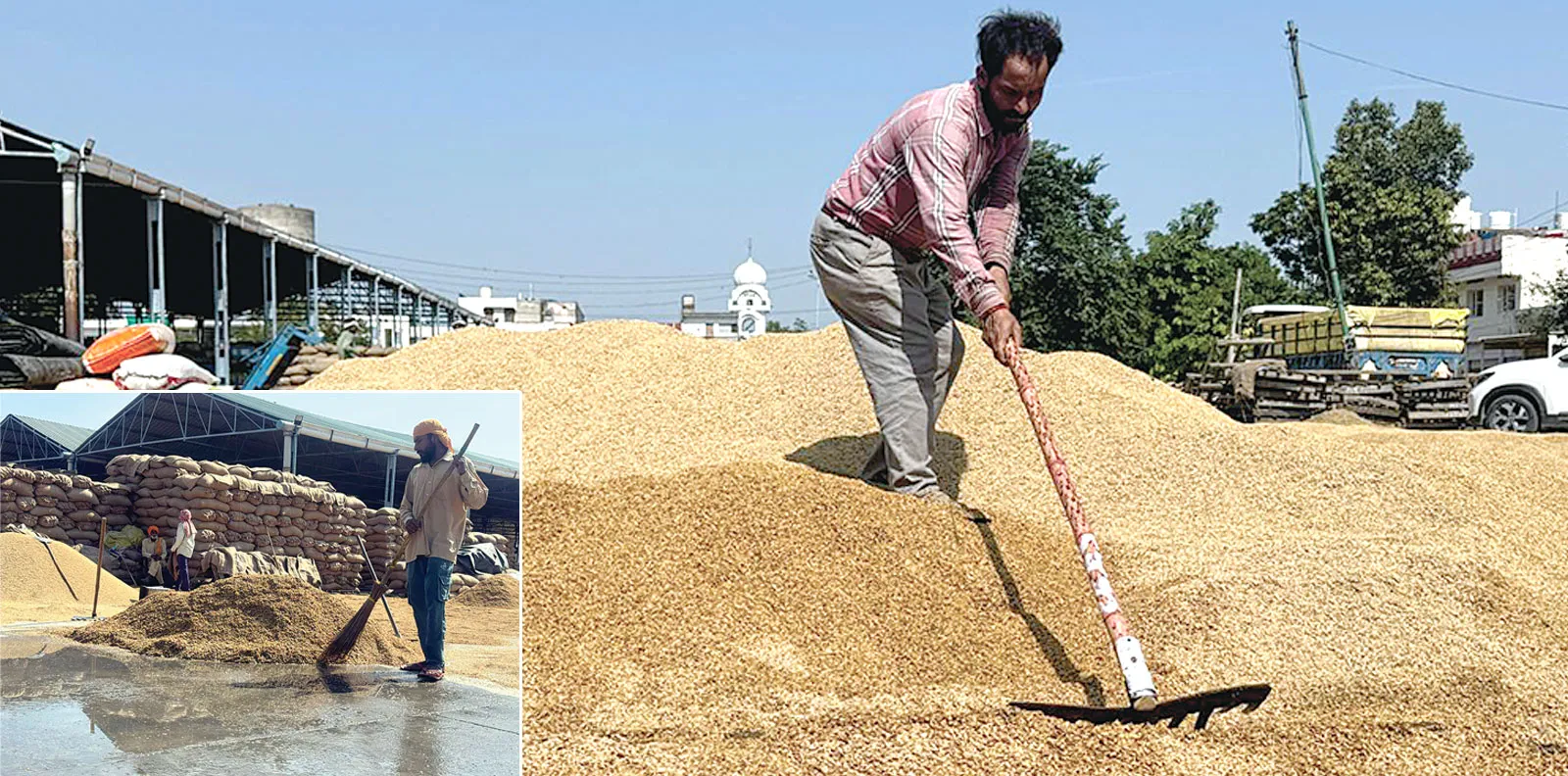 बारिश के बाद पटियाला की अनाज मंडी की सड़कों पर बहा धान, खुली प्रबंधों की पोल