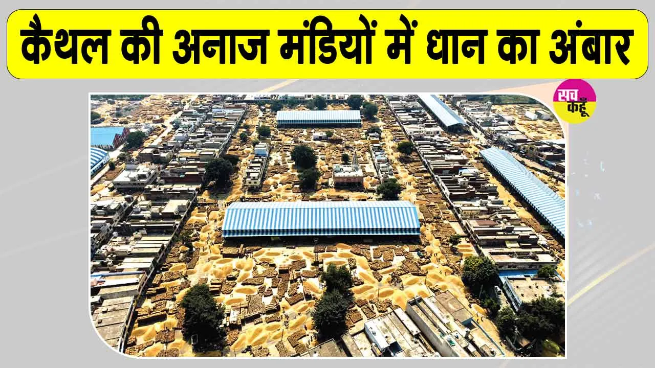 PR Paddy News: कैथल की अनाज मंडियों में बढ़ा धान का दबाव, धीमे उठान से किसानों की बढ़ी परेशानी