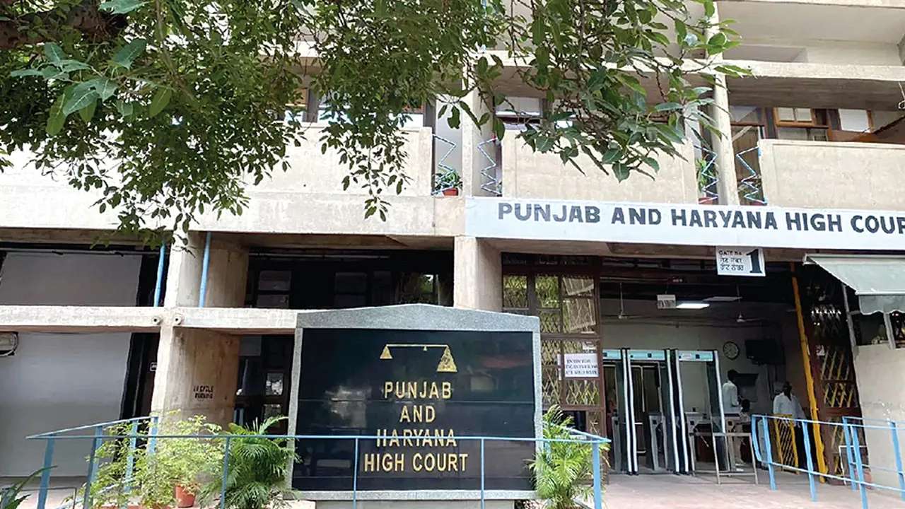 Punjab News: मुख्यमंत्री कार्यालय में ‘भ्रष्टाचार’ की सीबीआई जाँच, हाईकोर्ट ने दिए आदेश
