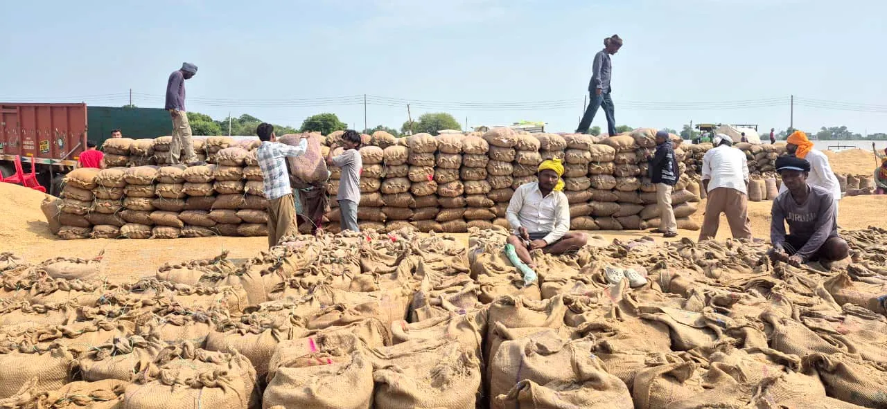 Mandi News: बारिश का कहर जारी, मंडियों में धान भीगने से किसान परेशान