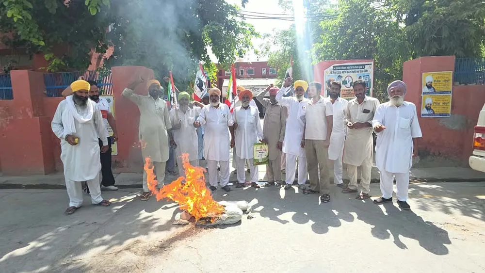 Farmer Protests: धान खरीद को लेकर भड़के रोड़ी व कालांवाली के किसान, धरना-प्रदर्शन कर फूंका सरकार का पुतला