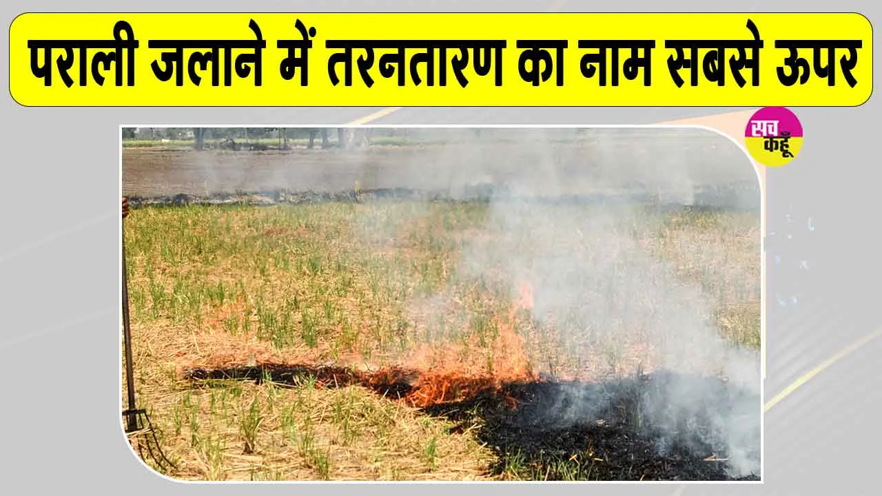 Stubble Burning: पराली जलाने के मामले में तरनतारन सबसे आगे, पंजाब में 1,007 मामले दर्ज