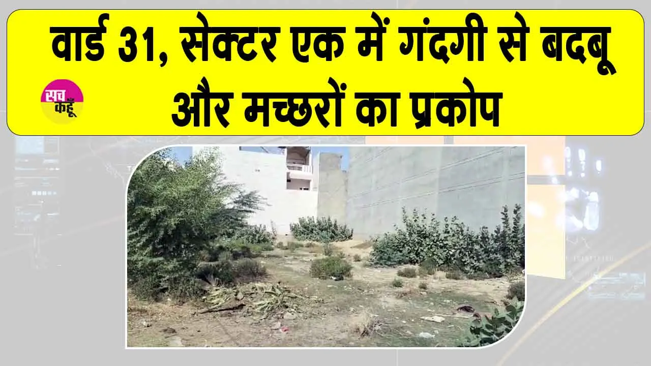 वर्षों से खाली प्लॉट बना परेशानी, कचरे और झाड़ियों से आसपास के लोग परेशान 