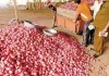 Onion News: महंगे प्याज से राहत की तैयारी, सरकार राशन की दुकानों पर 30-40 रुपये किलो में प्याज बेचने की बना रही योजना