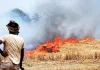 Haryana News: ‘पराली संरक्षण बल’ करेगा पराली जलाने की रोकथाम, ड्रोन होंगे तैनात