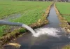 Digital Agriculture: 3 करोड़ के करीब किसान सारथी प्लेटफॉर्म से जुड़े डिजिटल कृषि परामर्श सेवाओं का उठा रहे लाभ