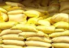 Fertilizer: खाद के 600 कट्टे मिलने पर कालाबाजारी का केस दर्ज
