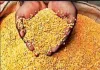 Ration Depot News: राशन न मिलने की शिकायत पर गलत रिपोर्ट लगाने का आरोप, एसडीएम से जांच की मांग