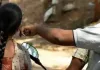 Snatching: पीएचसी में ड्यूटी के दौरान झपटा नर्सिंग ऑफिसर का सोने का लॉकेट 
