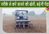 Pearl Millet Farming: मानसून में करें बाजरे की वैज्ञानिक खेती, आइये जानते हैं कैसे? किसानों को मिलेगा अधिक लाभ,बढ़ेगी पैदावार
