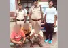 पत्थर चोरी कर सरकारी राजस्व को हानि पहुंचाने के मामले में तीन आरोपी गिरफ्तार