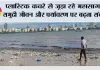 Environment Problem: प्लास्टिक कचरे से जूझ रहे महासागर, समुद्री जीवन और पर्यावरण पर बढ़ता संकट