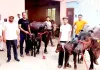 पशुपालन विभाग की दुग्ध प्रतियोगिता में हर्ष नागर की मुर्रा भैंसों ने मारी बाजी, मिलेगा 40 हजार रुपये का पुरस्कार