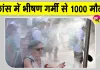 France Weather Update: जुलाई माह में 'हीट डोम इफेक्ट' फ्रांस वासियों पर ढहा सकता है कहर! फिलहाल Heat Wave से 1,000 लोगों की मौत