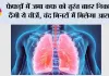 Health Alert: फेफड़ों में जमा कफ को तुरंत बाहर निकाल देंगी ये चीजें, चंद मिनटों में मिलेगा आराम
