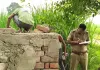 अज्ञात चोरों ने नलकूपों से विद्युत केबिल व कृषि यंत्र चुराए